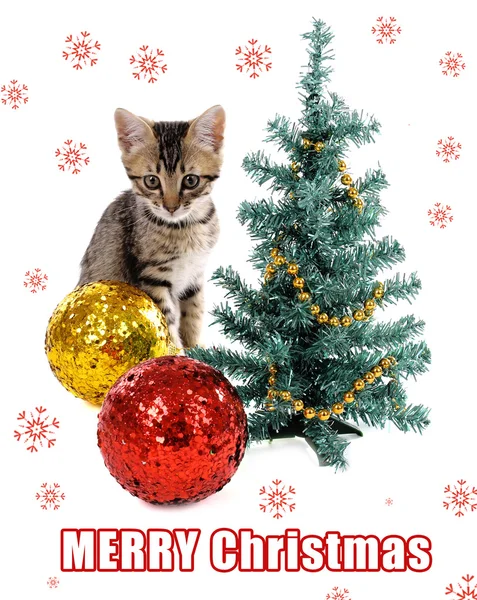 白で隔離されるクリスマスの装飾と小さな子猫 — ストック写真