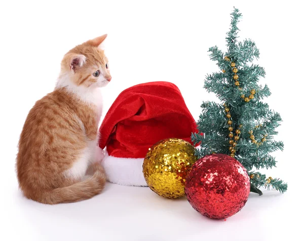 Pequeño gatito con adornos navideños aislados en blanco —  Fotos de Stock