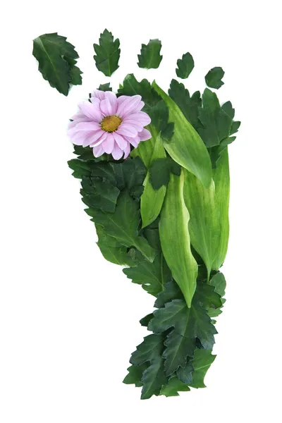 Voetafdruk van bladeren en bloemen geïsoleerd op wit — Stockfoto