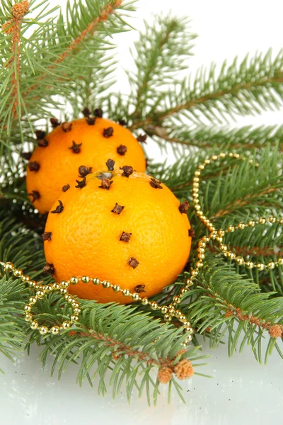 Composição de natal com laranjas e abeto, isolado em branco — Fotografia de Stock