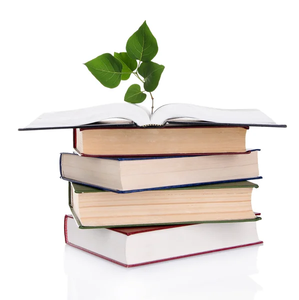 Books with plant isolated on white — Stock Photo, Image