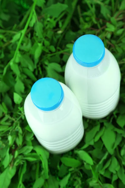 Leche en botellas sobre hierba — Foto de Stock