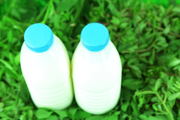 Mleko w butelkach na trawie — Zdjęcie stockowe
