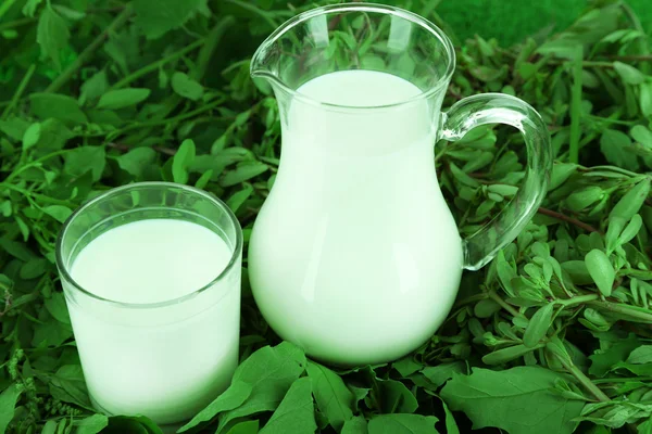 Tillbringare och glas mjölk på gräs — Stockfoto