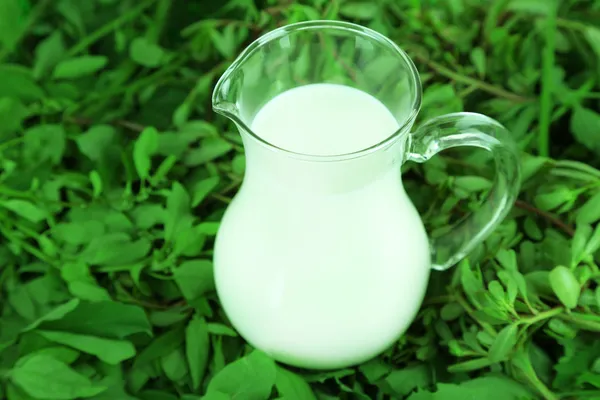Krug Milch auf Gras — Stockfoto