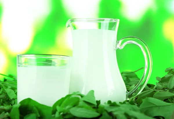 Pitcher and glass of milk on grass on nature background — Stock Photo, Image