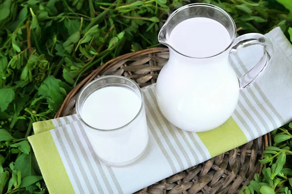 Кувшин и стакан молока на салфетке на плетеном подносе на траве — стоковое фото