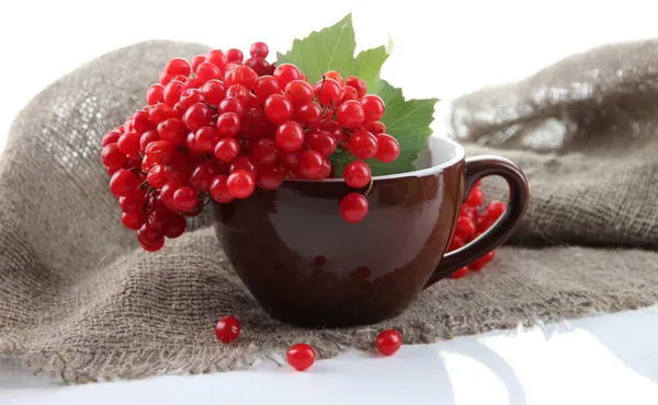 Red and orange berries in mug, on sackcloth napkin, isolated on white — Stock Photo, Image