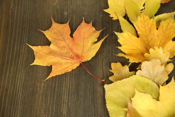 Jasny jesień liście na drewnianym stole — Zdjęcie stockowe