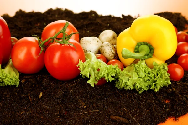 Warzywa na ziemi na kolor tła — Zdjęcie stockowe