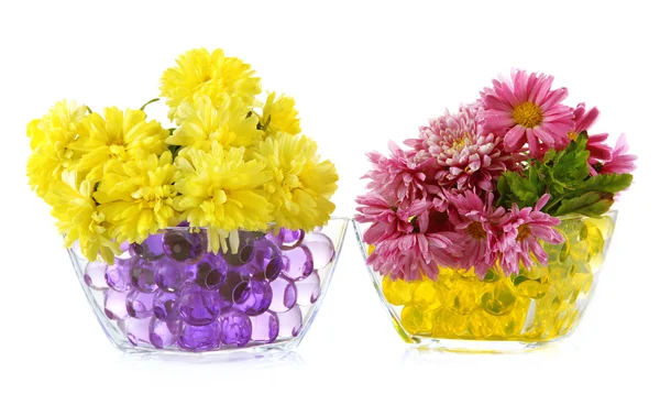 Красиві квіти у вазах з гідрогелем ізольовані на білому — стокове фото