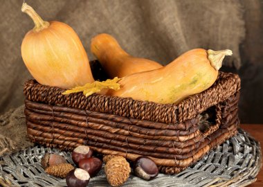 Kabak ile sonbahar kompozisyon