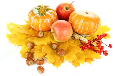 beyaz izole güzel sonbahar kompozisyon