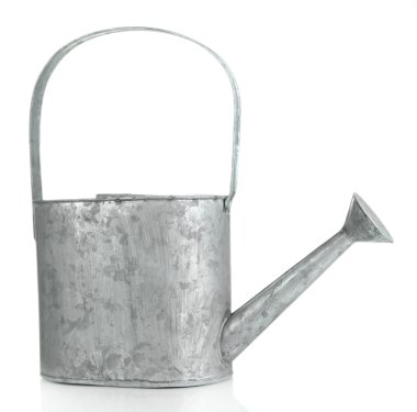 Sulama tenekesi beyazda izole