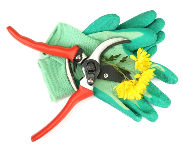 Secateurs con fiore isolato su bianco — Foto Stock