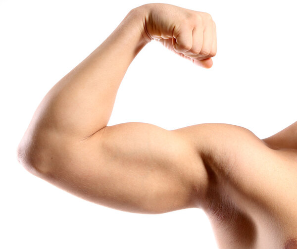 Young muscular man hand with biceps, isolated on white