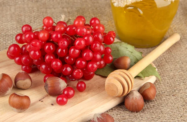 Red berries of viburnum with honey and nuts on sackcloth background — Stock Photo, Image