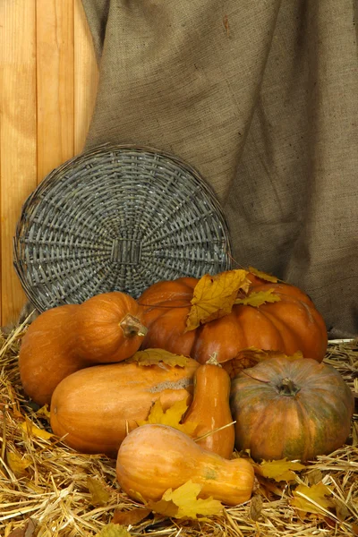 Pumpkins with wicker stand on straw on sackcloth background — Stock Photo, Image