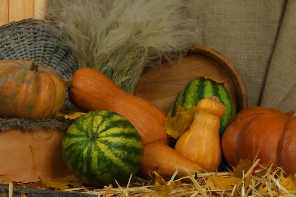 Dýně a meloun proutěné a dřevěné vany na slámu na pozadí pytloviny — Stock fotografie