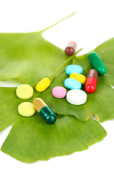 Ginkgo biloba foglie e pillole isolate su bianco — Foto Stock
