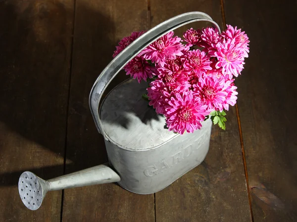 Buquê de crisântemo rosa em regar lata na mesa de madeira — Fotografia de Stock