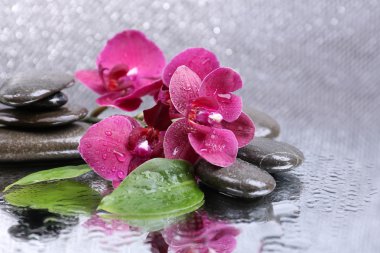 Güzel çiçek açan orkide su damlaları ve açık renk arka plan üzerinde spa taşlar ile kompozisyon