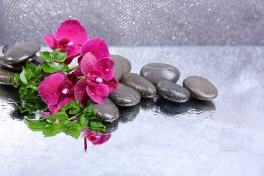 Güzel çiçek açan orkide su damlaları ve açık renk arka plan üzerinde spa taşlar ile kompozisyon