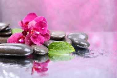 Güzel çiçek açan orkide su damlaları ve açık renk arka plan üzerinde spa taşlar ile kompozisyon