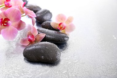 Su damlaları ve spa taşı, açık renkli güzel çiçek açan orkide ile kompozisyon
