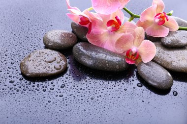 Su damlaları ve spa taşı, açık gri renkli güzel çiçek açan orkide ile kompozisyon