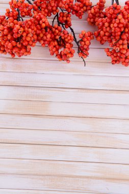 ahşap zemin üzerinde yapay meyveler