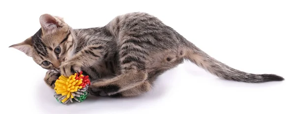 Pequeno gatinho com bola isolada em branco — Fotografia de Stock