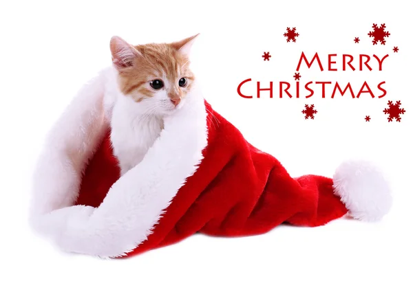 Kleines Kätzchen mit Weihnachtsmütze isoliert auf weiß — Stockfoto