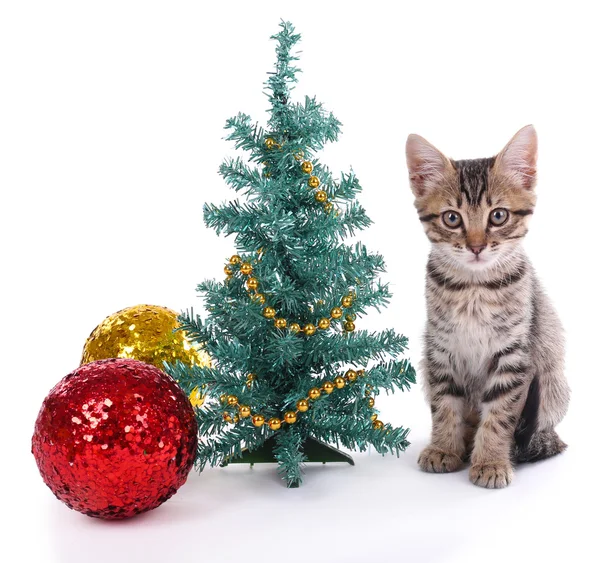 Pequeño gatito con adornos navideños aislados en blanco —  Fotos de Stock