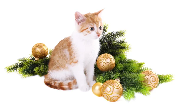 Lilla kattunge med julpynt isolerad på vit — Stockfoto