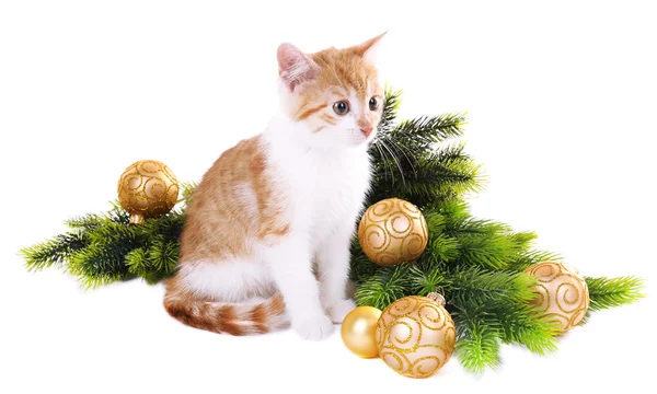 Pequeno gatinho com decorações de Natal isolado em branco — Fotografia de Stock