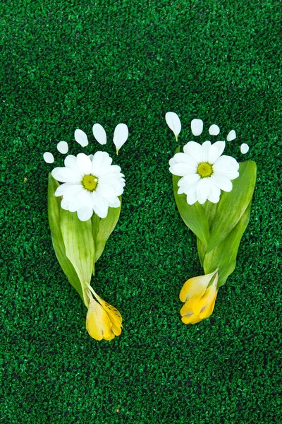 Footprints of leaves and flowers on grass close-up — Stock Photo, Image