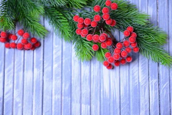 Árvore de abeto de Natal e bagas vermelhas em fundo de madeira — Fotografia de Stock