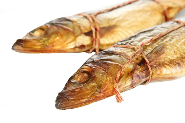 Savustettu kala eristetty valkoisella — kuvapankkivalokuva
