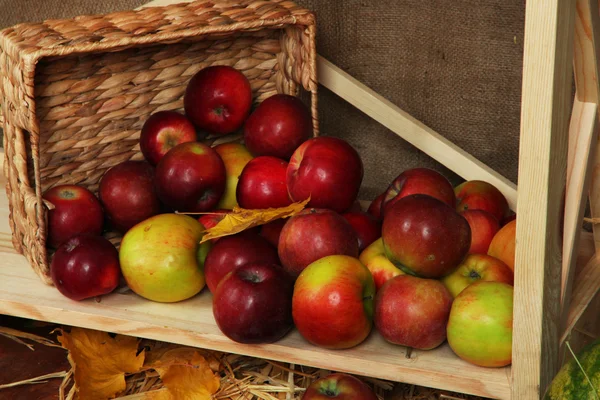 Pommes mûres dans le panier sur étagère fermer — Photo