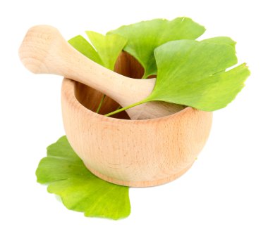 ginkgo biloba harç üzerine beyaz izole içinde bırakır.
