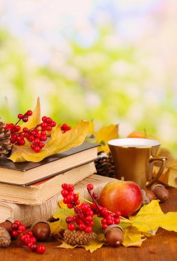 kitap ve sonbahar yaprakları doğal zemin üzerine ahşap tablo