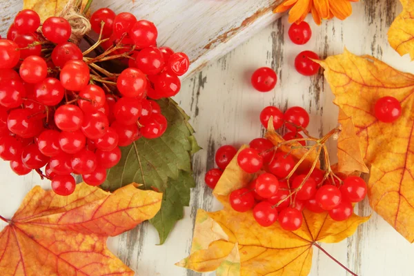 Bayas rojas de viburnum con hojas amarillas sobre fondo de madera —  Fotos de Stock