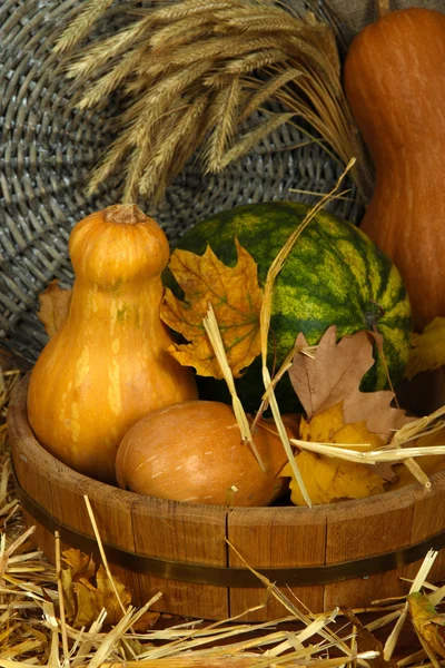 Kürbisse und Wassermelone in Holzwanne auf Kiste auf Weidengrund — Stockfoto