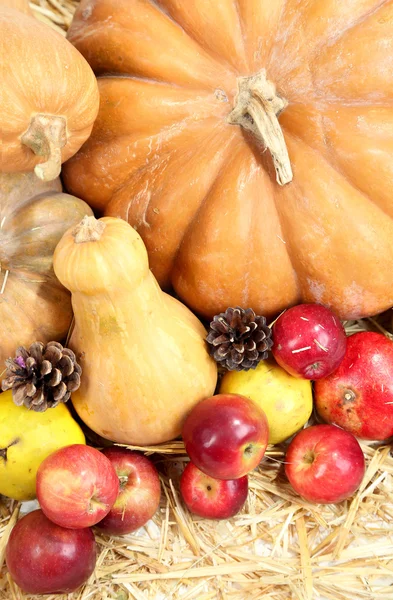 Meyve ve saman yakın çekim üzerinde pumpkins sonbahar kompozisyon — Stok fotoğraf