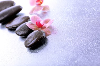 Su damlaları ve spa taşı, açık renkli güzel çiçek açan orkide ile kompozisyon