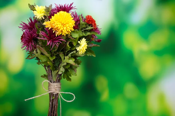 Schöne Blumen auf hellem Hintergrund — Stockfoto