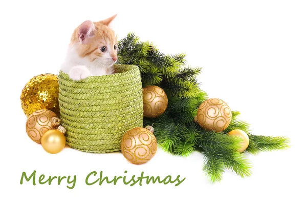 Pequeño gatito con adornos navideños aislados en blanco — Foto de Stock