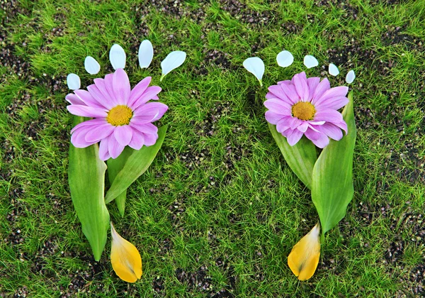 Footprints of leaves and flowers on grass close-up — Stock Photo, Image