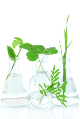 test tüpleri, üzerinde beyaz izole tesislerinde